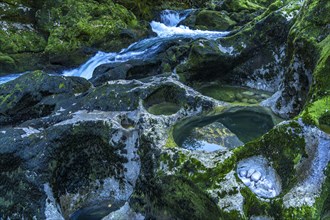 Natural pools on the river Crnojevic near Rijeka Crnojevica