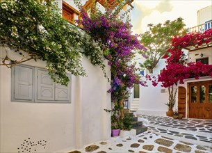 Romantic traditional narrow streets and beautiful alleyways of Greek island towns. Whitewashed houses