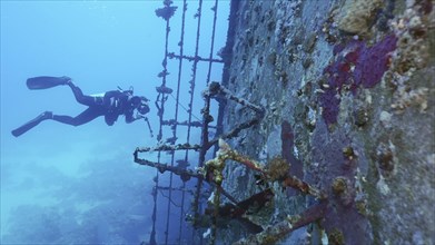 Scuba diver filming deck of ferry Salem Express shipwreck