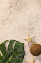 Green leaf with starfish beach