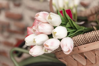 Low angle spring tulips basket