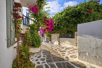 Romantic traditional narrow streets and beautiful walkways of Greek island towns. Whitewashed houses