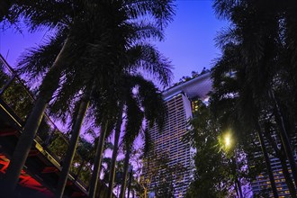 Rear view upshot of part Marina Bay Sands hotel hotel behind high palm trees