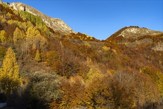 Autumn mountain landscape near Durmitor National Park