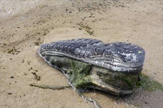 Old shoe on the beach