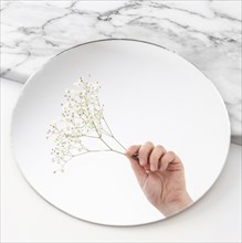 Hand with flowers mirror