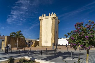 The historic tower Torre de Guzman