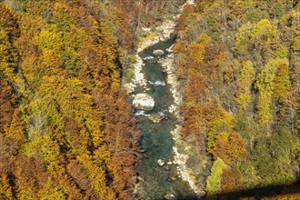Tara River and Gorge in Autumn
