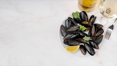 Fresh mussels dish with copy space