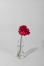 Blossom flower vase table 6