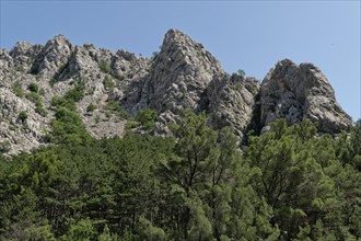 Rock chain in the Paklenica National Park in the Velebit limestone mountains in northern Dalmatia. Paklenica Starigrad