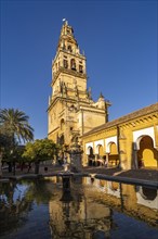 Orange Courtyard and Bell Tower of the Mezquita