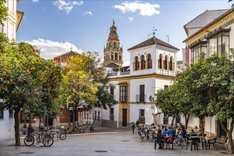 Old town and bell tower of the Mezquita in Cordoba