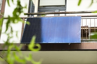 Solar panel in a backyard