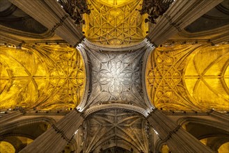 Ceiling in the interior of the Cathedral of Santa Maria de la Sede in Seville