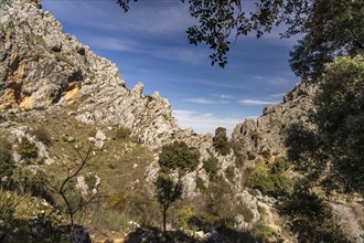 Landscape along the hiking trail of the Rio Bailon near Zuheros