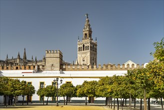 Patio de Banderas Square and the Cathedral of Santa Maria de la Sede in Seville
