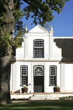 Typical white Cape Dutch style house of vineyard Bosch en Dal near Stellenbosch