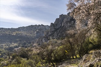 Landscape along the hiking trail of the Rio Bailon near Zuheros