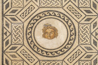 Roman Mosaic of Medusa