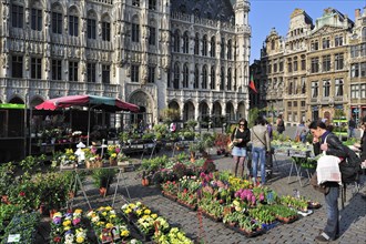 Flower stall in front of the Brussels Town Hall at the Grand Place