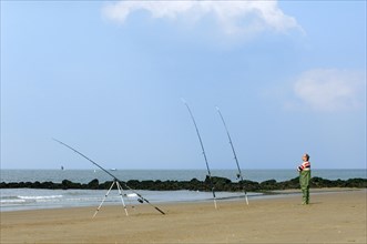 Sea angler in waders with many fishing rods fishing from beach near breakwater along the North Sea coast