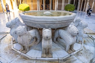 Lion's Court with the Lion Fountain