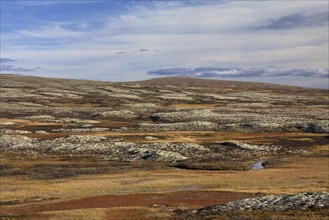 Tundra landscape in autumn at the Rondane National Park