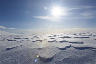 Wind-induced snow crusts on the tundra in the Dovrefjell Sunndalsfjella National Park in winter