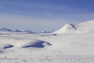 Snow covered mountain Kolla in winter