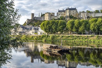 City view with castle and river Vienne