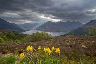 View over Loch Duich and the mountain summits of the Five Sisters of Kintail from Bealach Ratagain