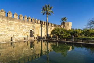 Water basin and walls of the palace