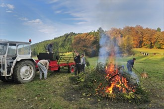 Working youngsters making huge fire by burning prunings