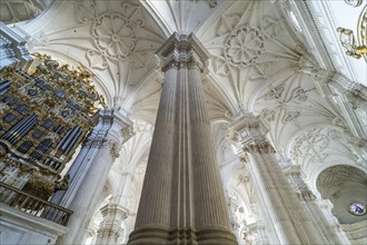 Corinthian columns in the interior of the Cathedral of Santa Maria de la Encarnacion in Granada