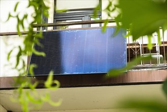 Solar panel in a backyard