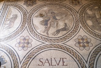 Roman mosaic in the Palacio de la Condesa de Lebrija Palace and Museum in Seville