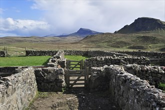 Dry stone sheep pen on the Isle of Skye