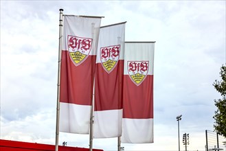 Club flags in front of the VfB Stuttgart club centre