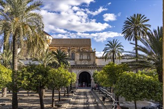 Orange courtyard and entrance to the Mezquita