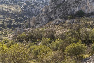 Landscape along the hiking trail of the Rio Bailon near Zuheros