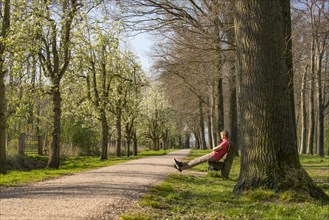 Man resting on bench alond path lined with blossoming fruit trees in spring