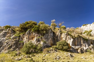 Landscape along the hiking trail of the Rio Bailon near Zuheros