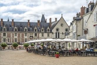 Restaurant on the Place du Chateau and the Blois Castle Chateau Royal de Bloiss