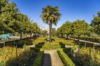 Gardens of the Palace