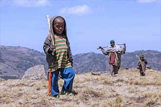 Young black herdsman with two children herding cattle in the mountains