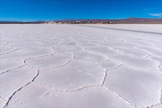800 sq km salt desert Salinas Grandes