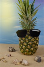 Natural pineapple with sunglasses on the sand of the beach with shells