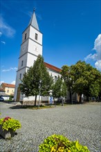 Seelow Town Church