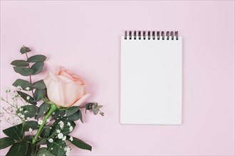 Blank spiral notepad with rose gypsophila flower against pink background
